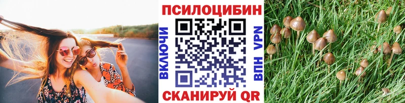 Купить закладки  Сланцы  Псилоцибиновые грибы Magic Shrooms 